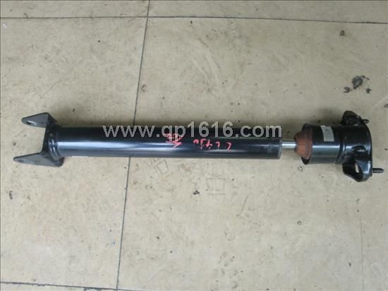 YGL450pA1643200631